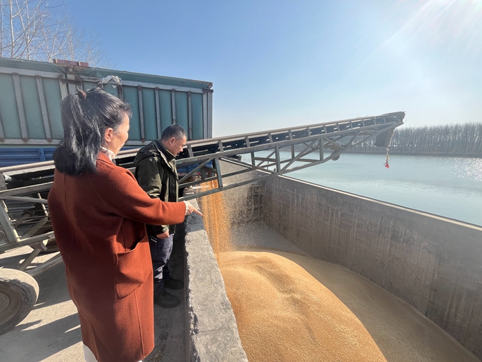 “黨建領(lǐng)航，守護(hù)糧安”淮糧集團(tuán)開展特色品牌黨建活動